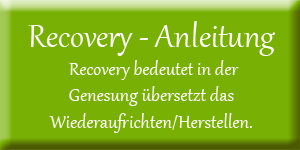 Recovery-Anleitung